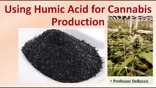 Using Humic Acid for Cannabis Production [upl. by Bunker887]