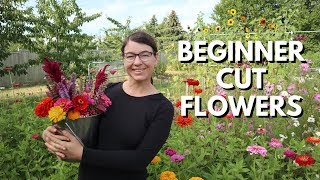 Cut Flower Garden for Beginners  From Seed to Bouquet [upl. by Itsyrk]