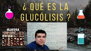 ¿Qué es la glucólisis [upl. by Aehsila]