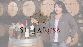 My Favorite Stella Rosa Flavor Moscato  STELLA ROSA TV [upl. by Duaner]