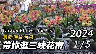 帶妳逛三峽花市週末搶先看丨202415丨Taiwan Flower Market 丨片尾彩蛋抽獎丨 [upl. by Ramiah949]