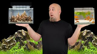 Amazing Ideas For Small Aquariums Fish Tank Set Up [upl. by Gordan]