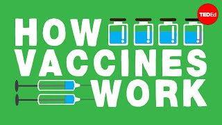 How do vaccines work  Kelwalin Dhanasarnsombut [upl. by Atterg]