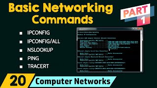 Basic Networking Commands Part 1 [upl. by Penthea849]