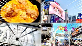 【決定版】東京観光おすすめ一日コース！浅草・原宿・新宿【一人旅】 [upl. by Noid897]