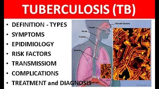 Tuberculosis TB Explained Causes Types Symptoms Diagnosis amp Treatment [upl. by Ojahtnamas965]