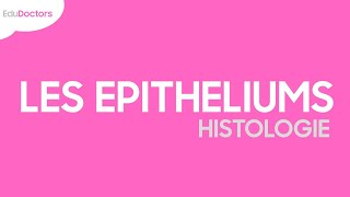 Les épithéliums  Histologie [upl. by Malka]