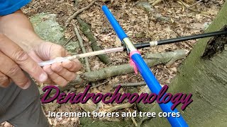 Dendrochronology How to use an increment borer [upl. by Brouwer]