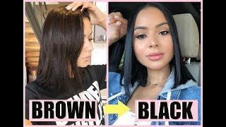 HOW I DYE MY HAIR AT HOME FROM BROWN TO BLACK  Diana Saldana [upl. by Greenland]