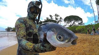 Spearfishing Hawaiian Style  Big Catch [upl. by Padegs700]