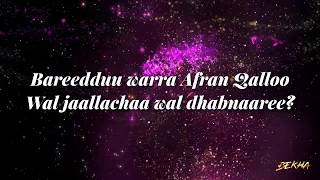 HACAALUU HUNDEESSAA  WAL DHABNAAREE  Lyrics [upl. by Aleek]