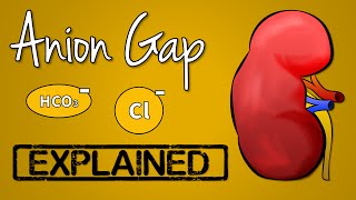 Anion Gap EXPLAINED [upl. by Jolene]