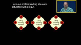 Protein Binding [upl. by Nalro515]