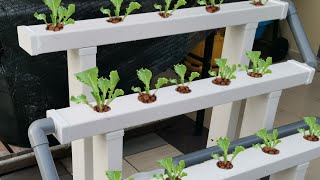 Hydroponic farm At home  Building DIY Hydroponic System [upl. by Onaimad]