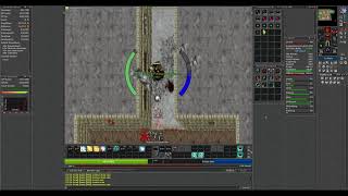 TIBIA  Paladin lvl 65  90 650k  1kk exphr  Edron Vamp Cave [upl. by Ilarin398]