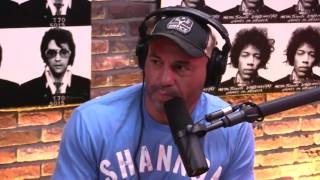 Joe Rogan breaks down who would win Gorilla vs Grizzly Bear [upl. by Aelak]