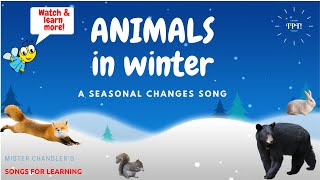 Animals in Winter Animal Adaptations Song [upl. by Stahl]