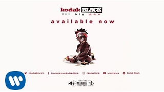 Kodak Black  Gave It All I Got Official Audio [upl. by Eberly718]