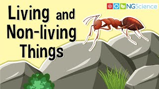 What Are Living and Nonliving Things [upl. by Ylrebmik739]