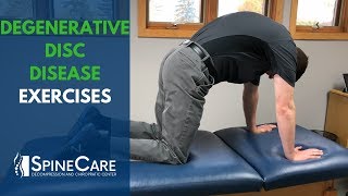 5 Exercises Lumbar Disc Degeneration Disc Desiccation Degenerative Disc Disease Treatment Part 2 [upl. by Yraeg789]