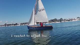 A pair of Herons sailing Kogarah Bay [upl. by Aniala]