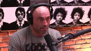 Joe Rogan Rants About Shitty Parents [upl. by Paschasia]