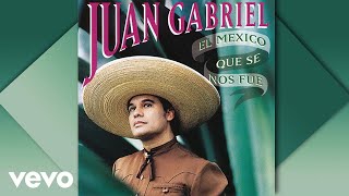 Juan Gabriel  La Herencia Cover Audio [upl. by Nivled520]