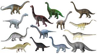 Sauropod Dinosaurs  Brontosaurus Apatosaurus Diplodocus  The Kids Picture Show Learning Video [upl. by Oisorbma]