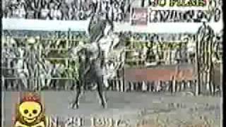 100 MUERTES DEL JARIPEO 232425EL TIBURON DEL GOLFORUBEN NEVAREZRUBEN LEON [upl. by Ydnik]