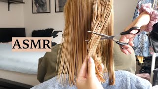 ASMR Haircut amp Hair Brushing To Help U Sleep Hair Play Spraying amp Scissor Sounds No Talking [upl. by Rotberg]