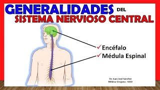 🥇 SISTEMA NERVIOSO CENTRAL SNC  Generalidades  ¡Explicación Sencilla [upl. by Oinesra]