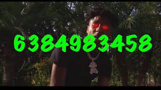 NBA YoungBoy  FREEDDAWG Roblox IDCode Bypass [upl. by Hotze]