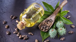 Homemade Castor Oil Made From Scratch [upl. by Kremer]