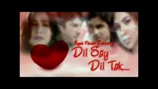 Dilse dil tak PTV home drama Official song SHAAKII [upl. by Yanffit]