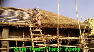 Thatch Roof [upl. by Arbba]