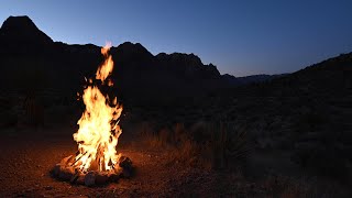 4K Campfire in Desert With Cricket Night Sounds [upl. by Ynohtona]