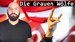 Türkischer Rassismus Wer sind die Grauen Wölfe [upl. by Animsay676]