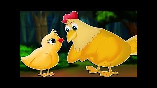 El cuento del pollito  Cuentos infantiles [upl. by Asel]