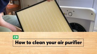 How to Clean an Air Purifier  Consumer Reports [upl. by Aitenev372]