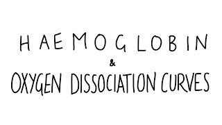 Haemoglobin amp Oxygen Dissociation Curves [upl. by Ecined]