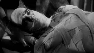 THE MUMMY 1932 Clip Mummified [upl. by God991]