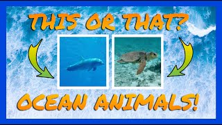 This Or That Ocean Animals  Underwater Fitness Fun [upl. by Nalad]