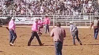 Cattle Call Rodeo Brawley CA Veterans Day [upl. by Okihcas]