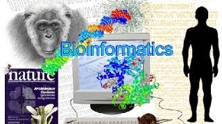 Bioinformatics part 1 What is Bioinformatics [upl. by Katzen]