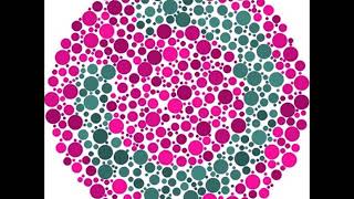 Color blind test as a color blind people see [upl. by Ardnac]