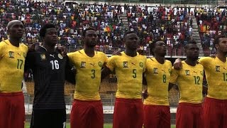 AFCON Team profile of Cameroon’s Indomitable Lions [upl. by Nylirac]