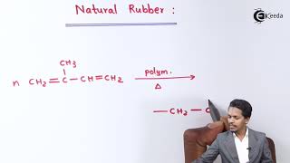 Natural Rubber  Polymers  Chemistry Class 12 [upl. by Agni257]