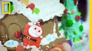 The History of Gingerbread A Tasty Holiday Tale  National Geographic [upl. by Hess]