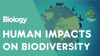 Human Impacts on Biodiversity  Ecology and Environment  Biology  FuseSchool [upl. by Sokim]