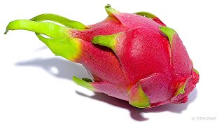 TimeLapse Dragon Fruit [upl. by Masuh615]